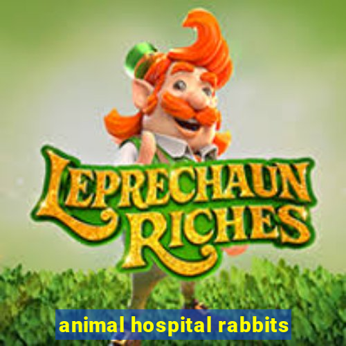 animal hospital rabbits